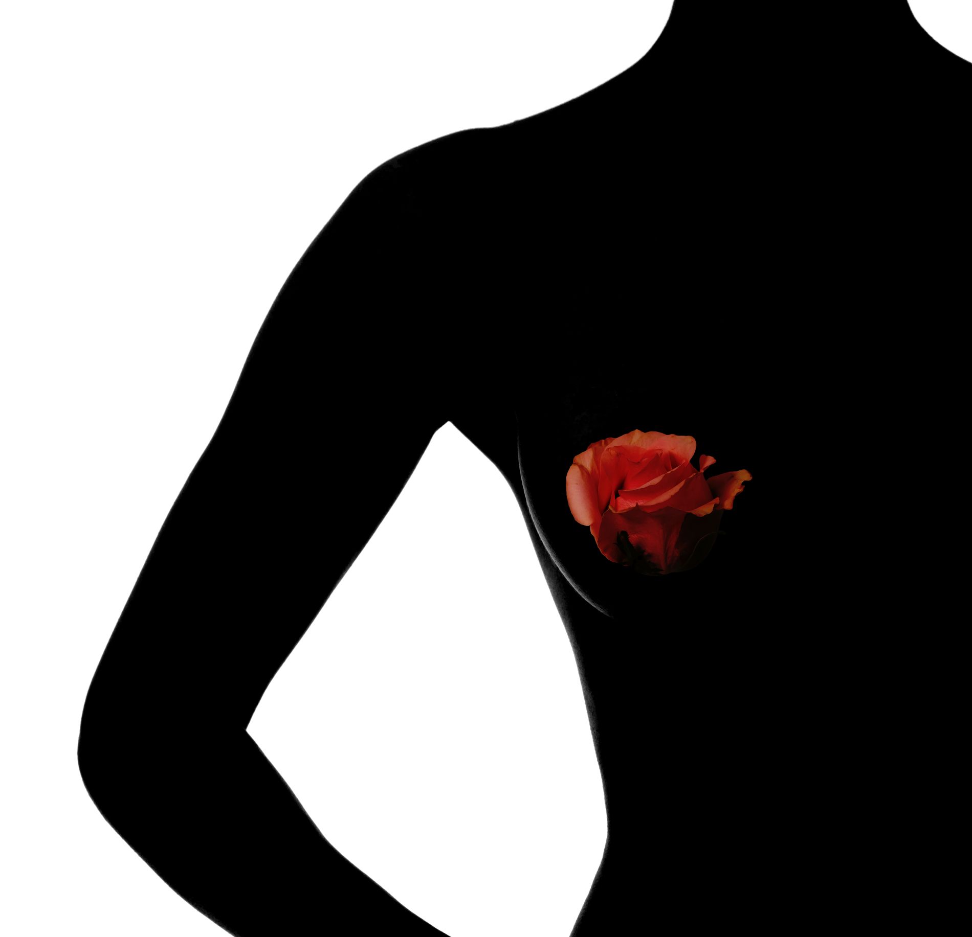 Silhueta de mulher com rosa no peito para simbolizar mancha vermelha no peito.